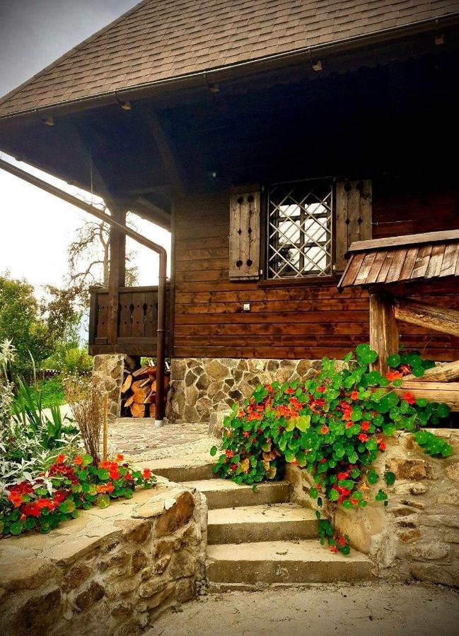 Садиба Остра Shcherbovets Ngoại thất bức ảnh